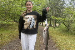 fish6
